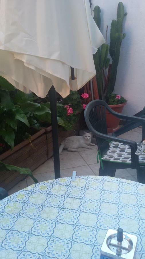 Nenna Apartman Olbia Kültér fotó