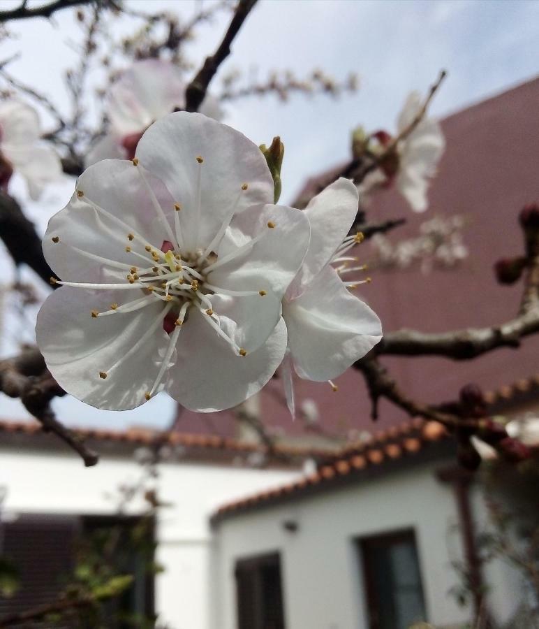 Nenna Apartman Olbia Kültér fotó